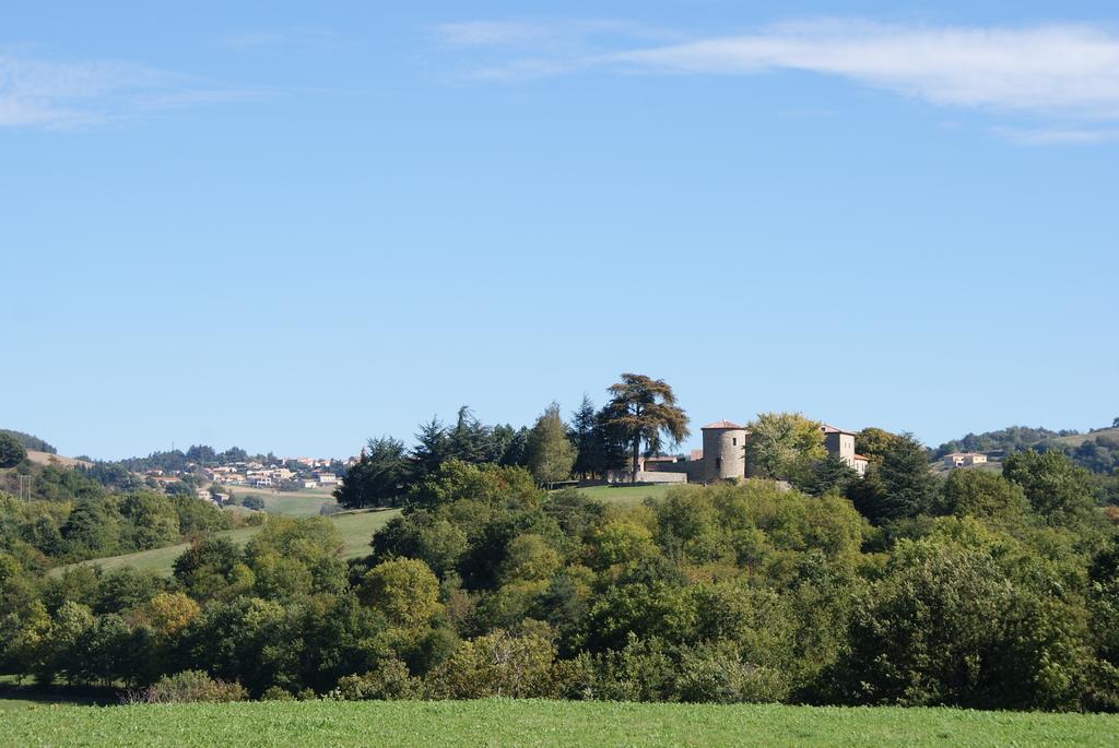 Chateau Du Besset Saint-Romain-de-Lerps Eksteriør bilde