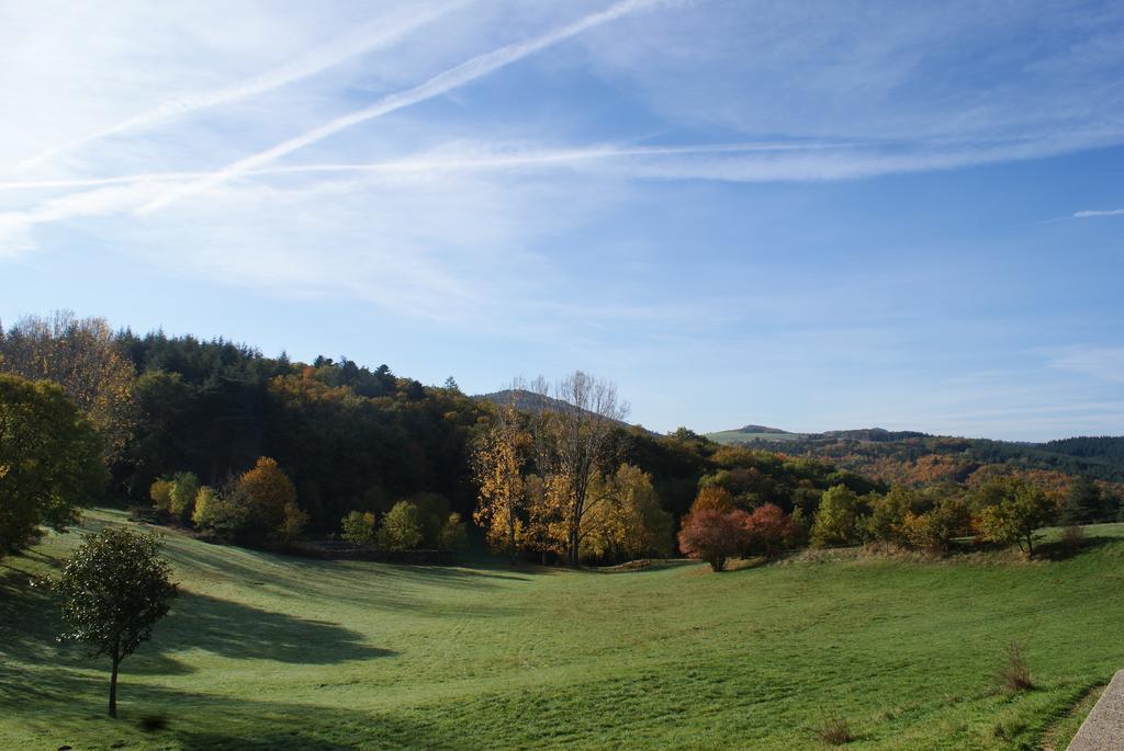 Chateau Du Besset Saint-Romain-de-Lerps Eksteriør bilde